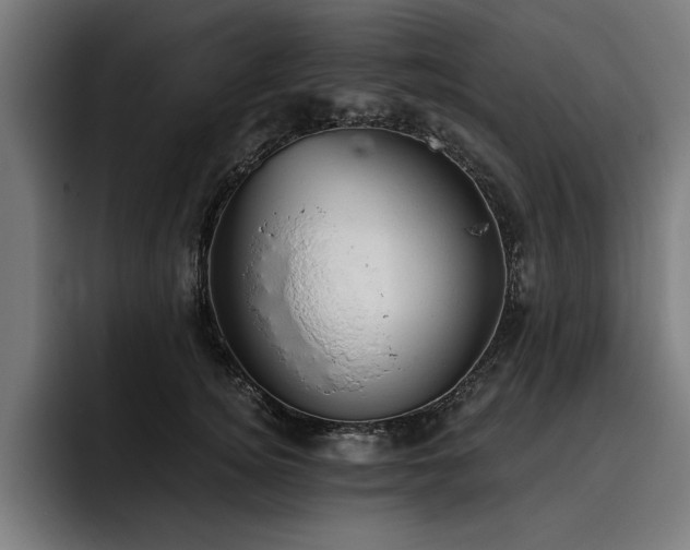 X0000093420756200710121143