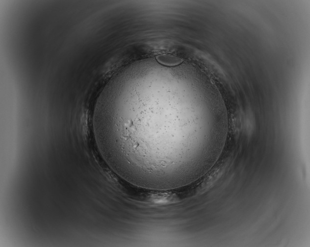 X0000093420757200710121143