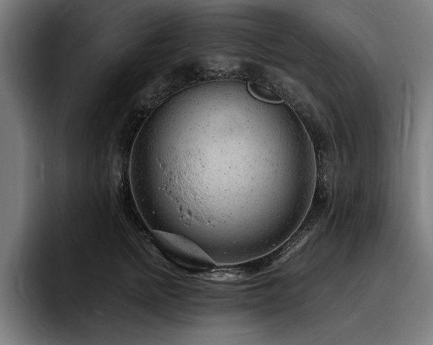 X0000093420758200710121143