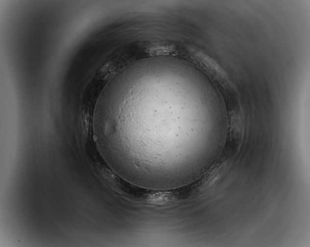 X0000093420761200710121143