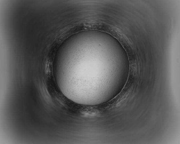 X0000093420770200710121143