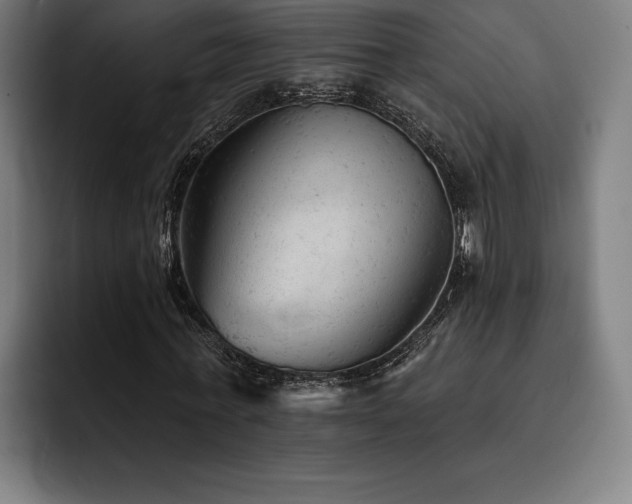 X0000093420771200710121143