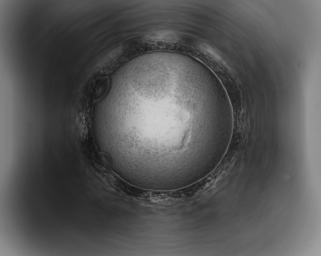 X0000093420774200710121143