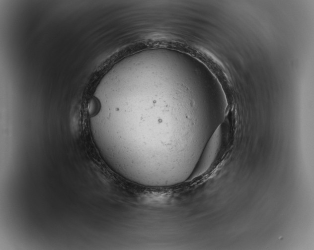 X0000093420775200710121143