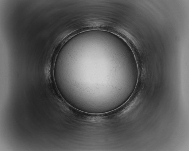 X0000093420778200710121143