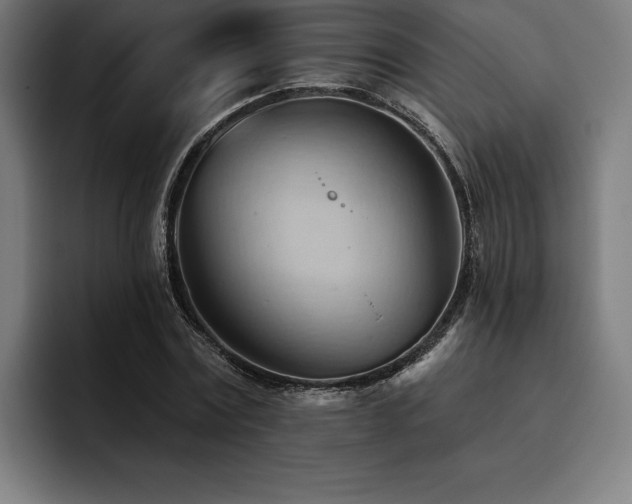 X0000093420779200710121143