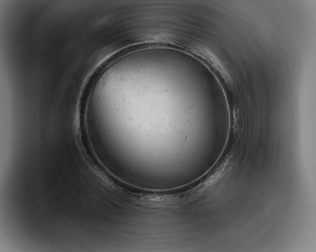 X0000093420780200710121143