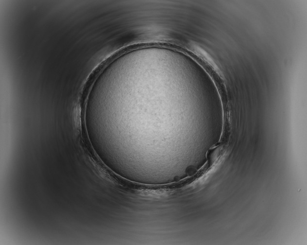 X0000093420781200710121143