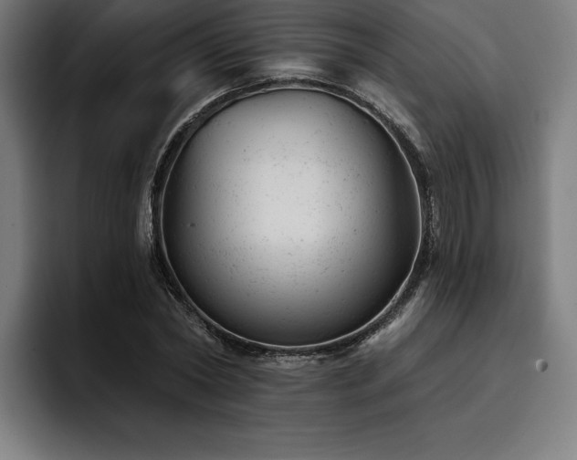 X0000093420782200710121143