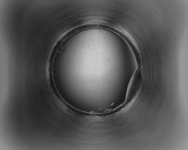 X0000093420783200710121143