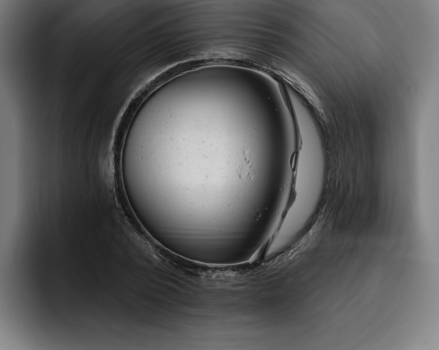 X0000093420784200710121143