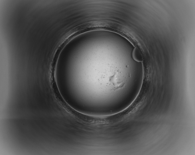 X0000093420786200710121142