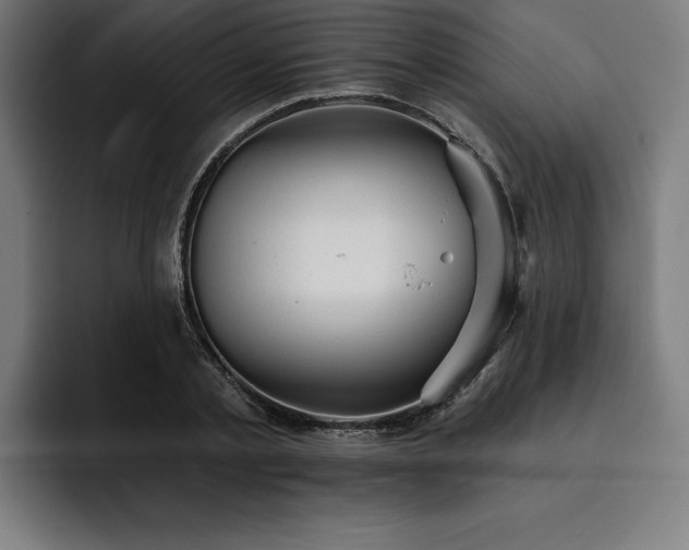 X0000093420789200710121142