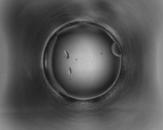 X0000093420791200710121142