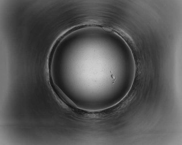 X0000093420792200710121142