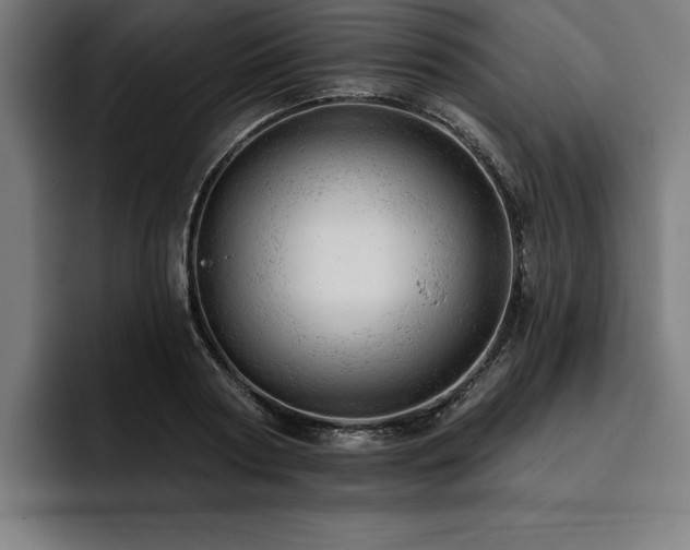 X0000093420794200710121142