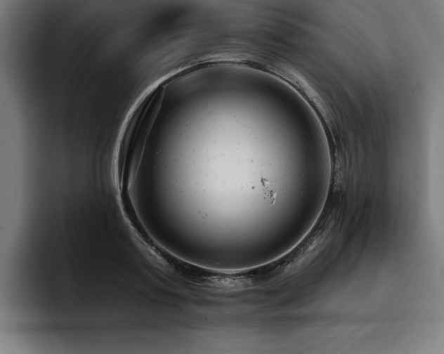 X0000093420795200710121142