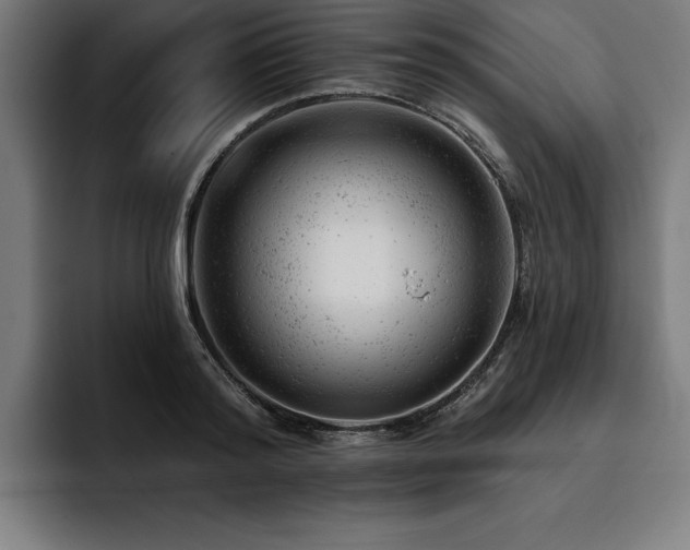 X0000093420796200710121142