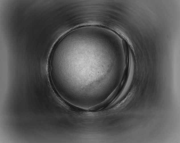 X0000093420797200710121142