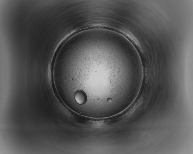 X0000093420798200710121142