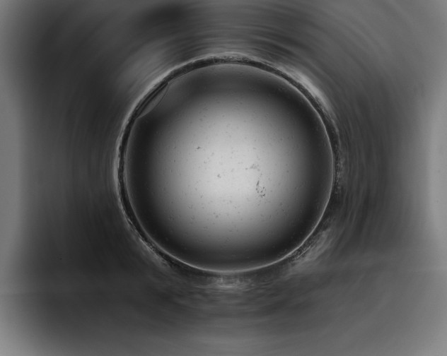 X0000093420799200710121142