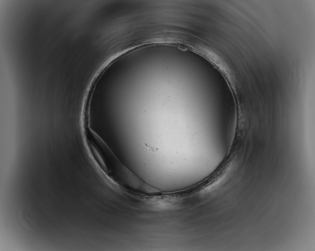 X0000093420803200710121142