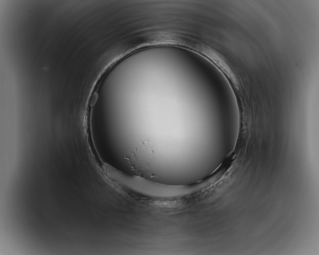 X0000093420805200710121142