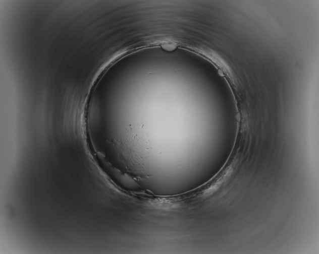 X0000093420806200710121142
