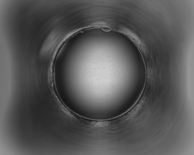 X0000093420808200710121142