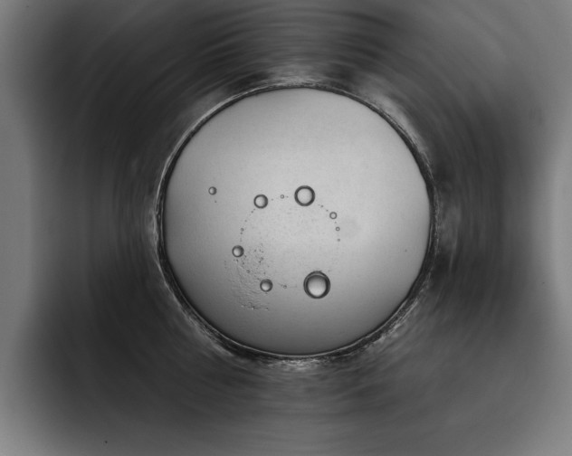X0000093420810200710121142