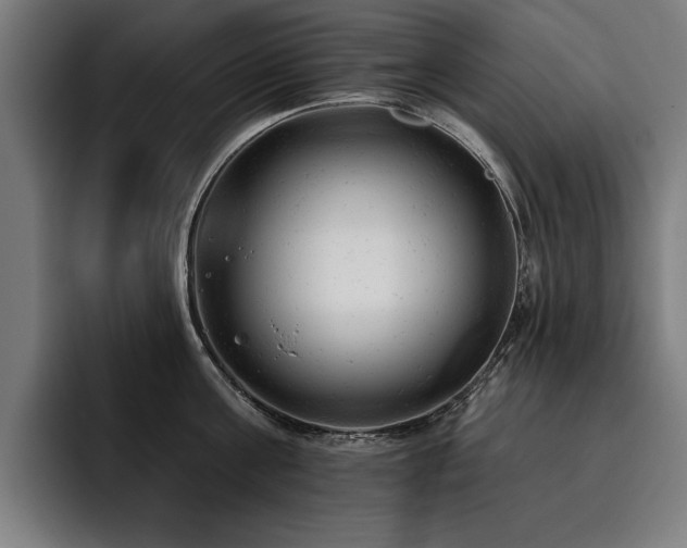 X0000093420811200710121142