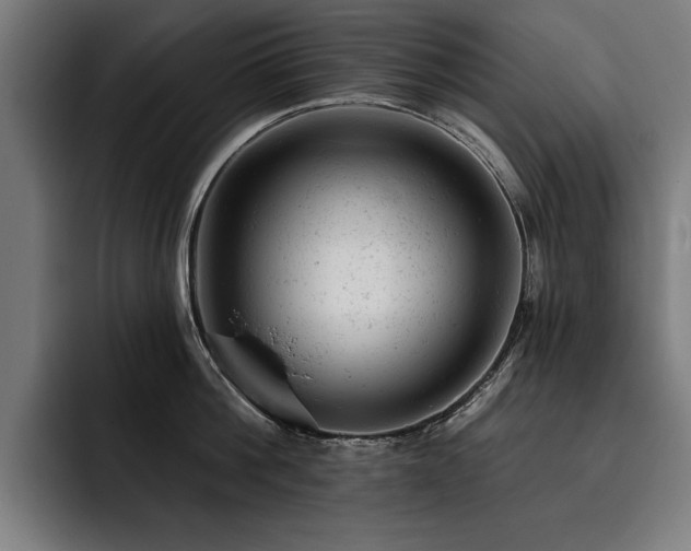 X0000093420812200710121142