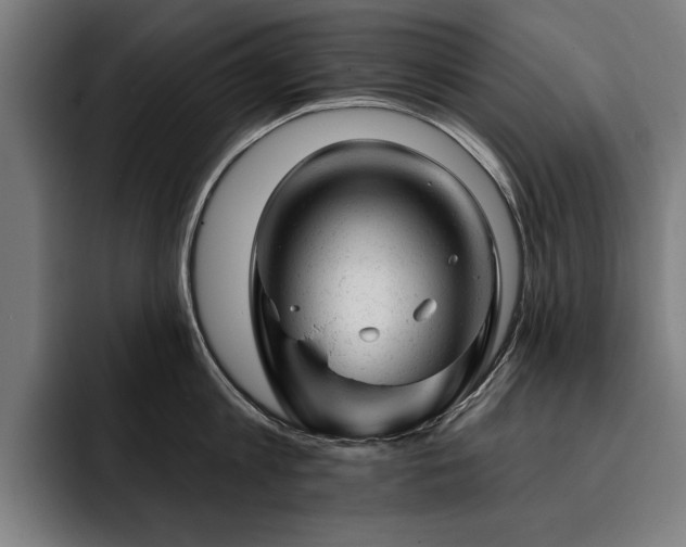 X0000093420813200710121142