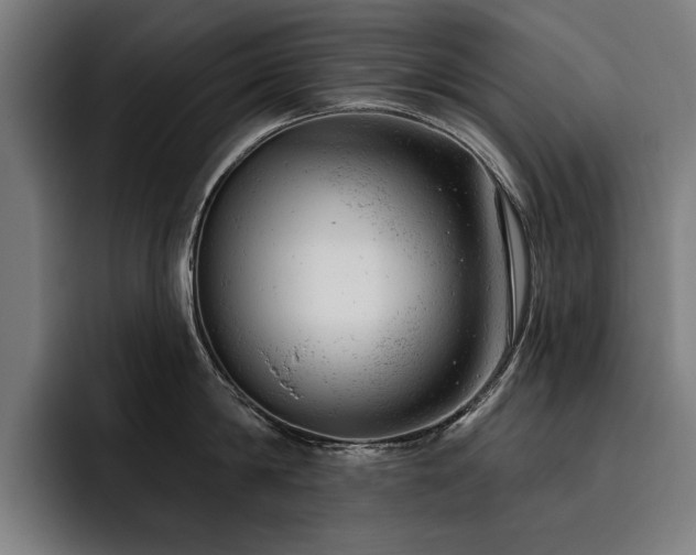 X0000093420814200710121142