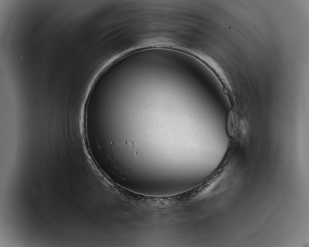 X0000093420815200710121142