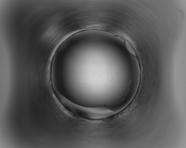 X0000093420816200710121142