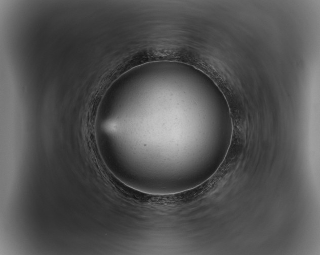 X0000093420817200710121142