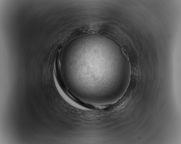 X0000093420818200710121142
