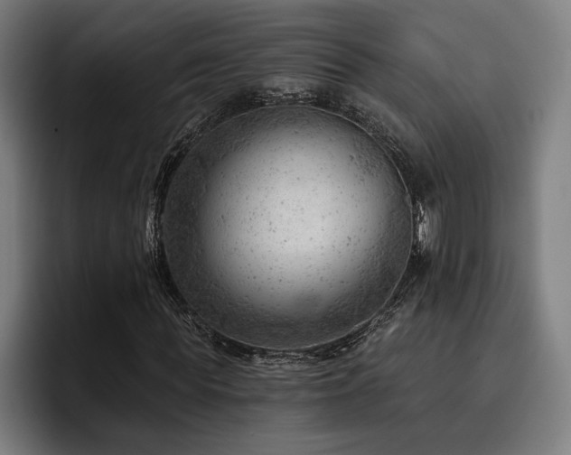 X0000093420819200710121142
