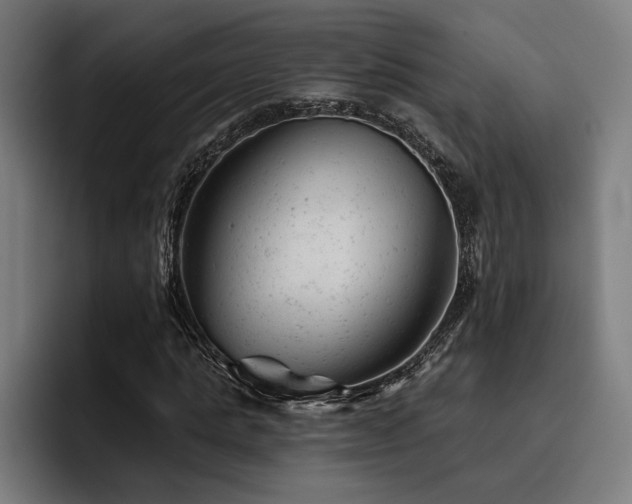 X0000093420821200710121142