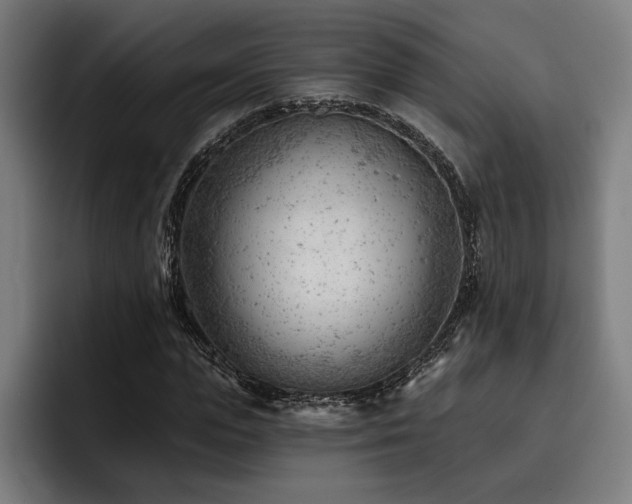 X0000093420823200710121142
