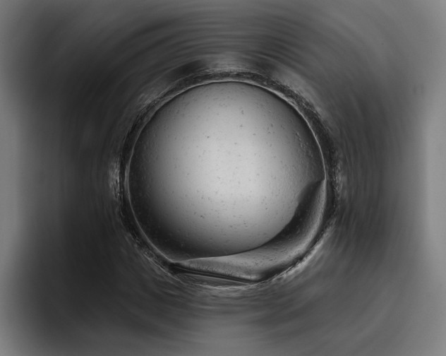 X0000093420825200710121142