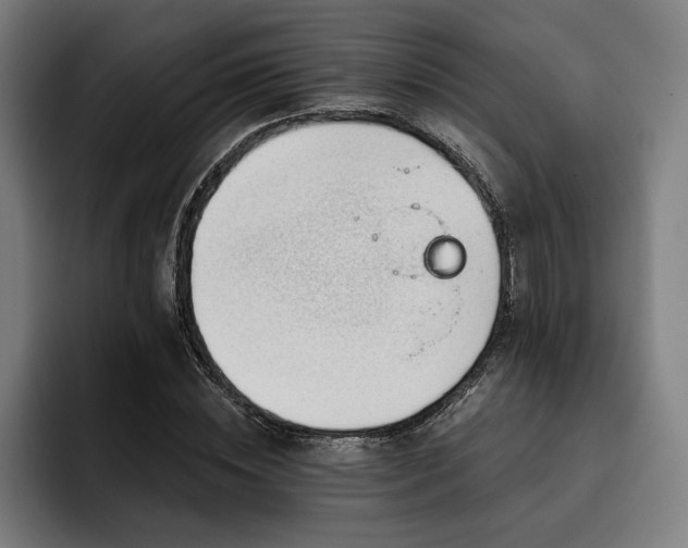 X0000093420828200710121142
