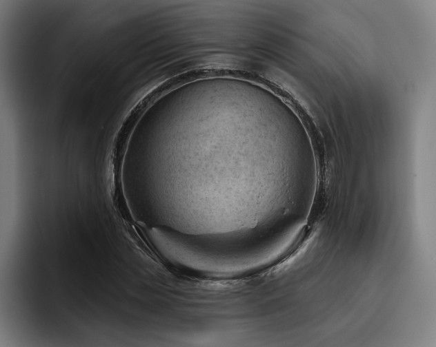 X0000093420829200710121142