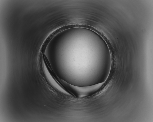 X0000093420830200710121142
