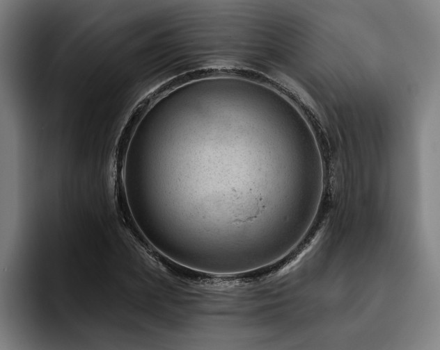 X0000093420831200710121142