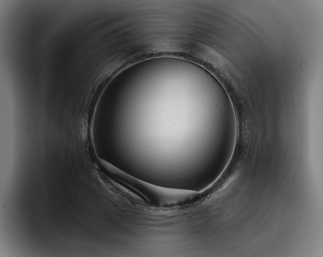 X0000093420833200710121142