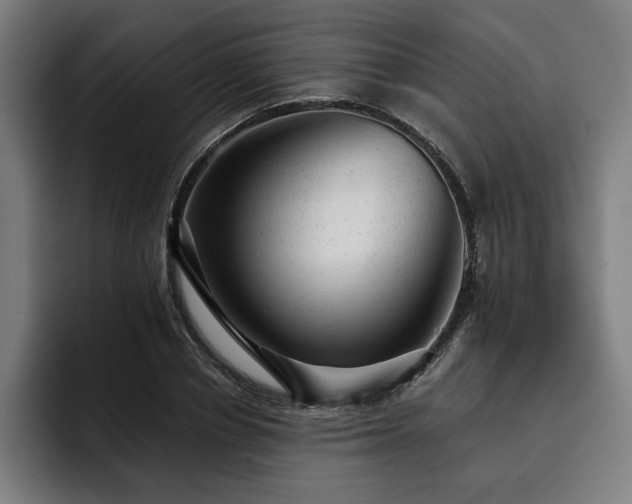 X0000093420834200710121142