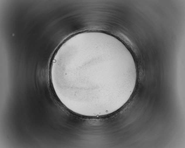 X0000093420836200710121142