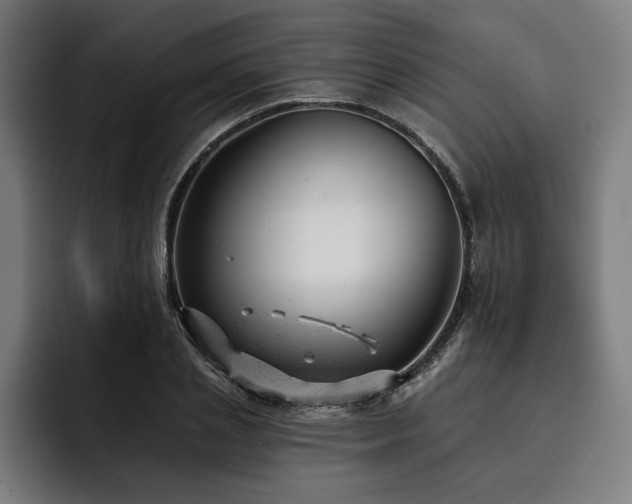 X0000093420837200710121142
